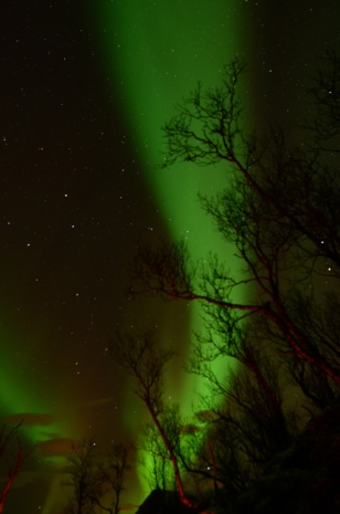 Northern Lights, Tromsø - 12.12.12